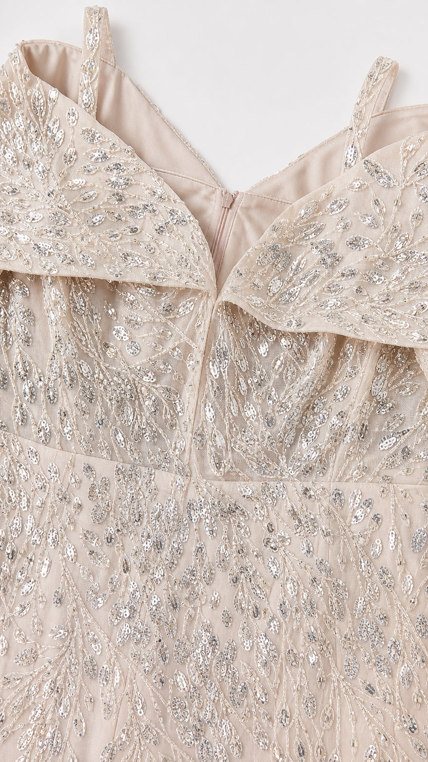Close-up detail of V-neckline, capelet collar, and sequin embroidery